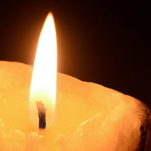 Photo de Madame Denise, Marie, Louise JOSSELIN