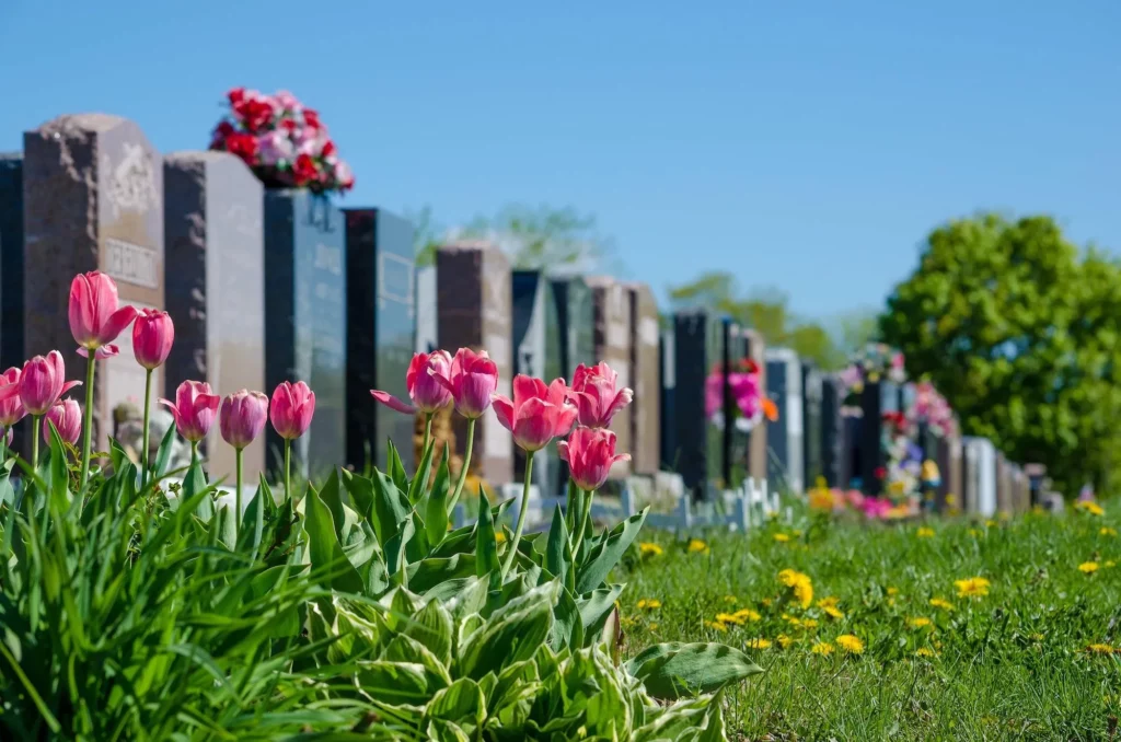 cimetière avec des monuments et des fleurs